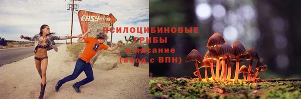 СК Вязники