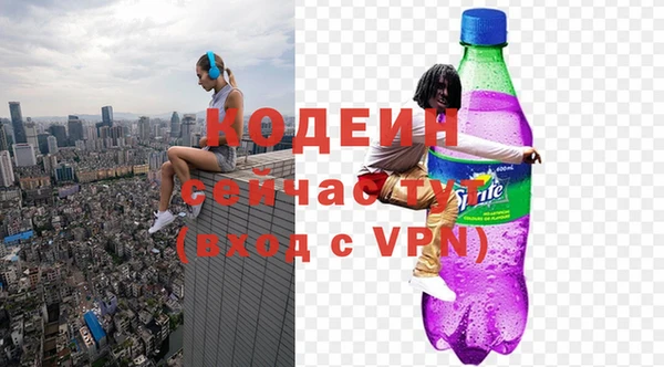 шишки Вяземский